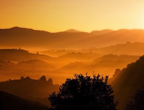 Slideshow image
